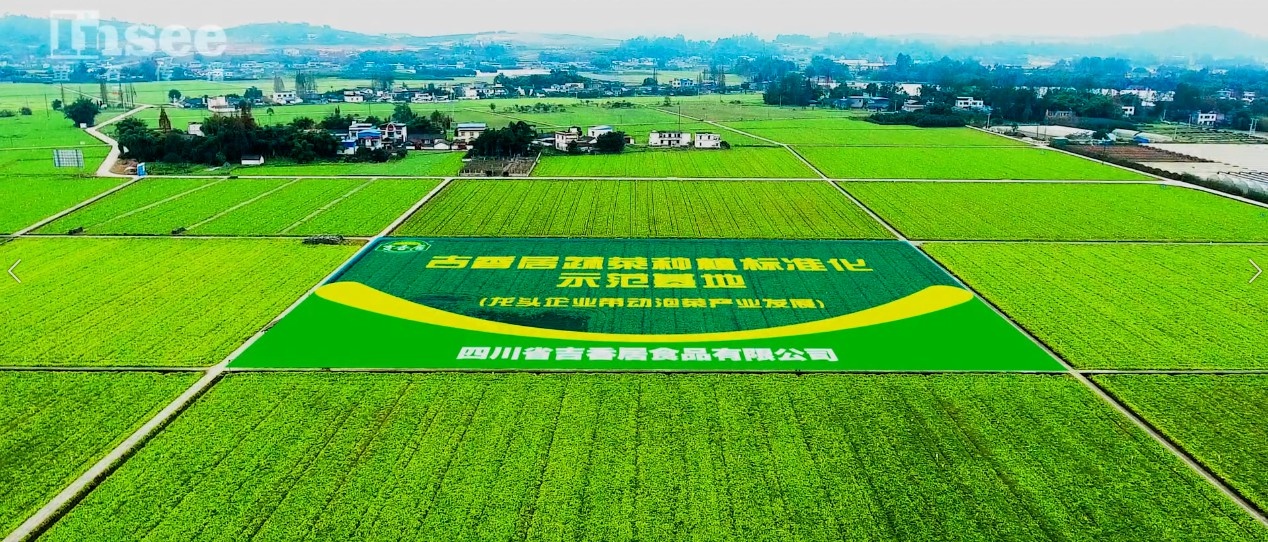 四川吉香居食品有限公司宣傳片